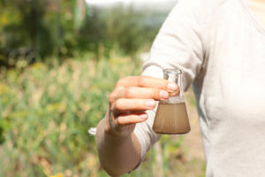 飲用水凈化